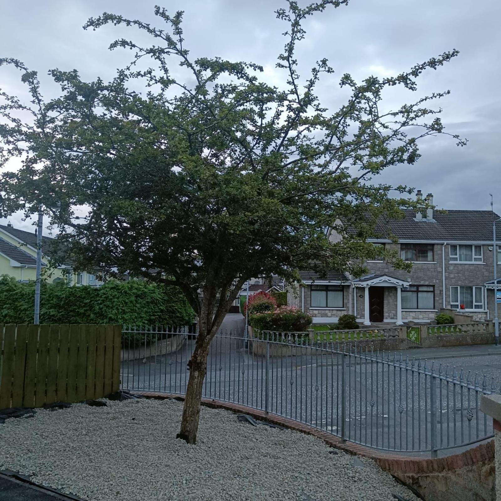 Willa Bluebell House Newry Zewnętrze zdjęcie